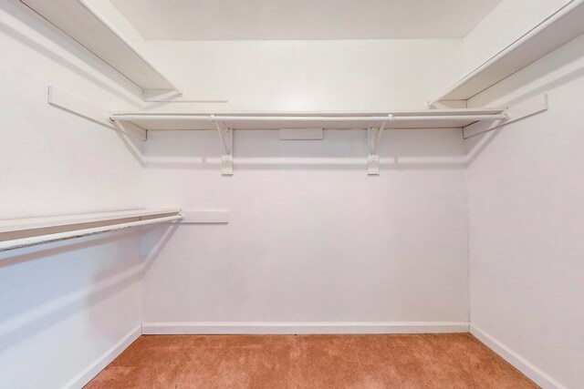 walk in closet featuring light colored carpet