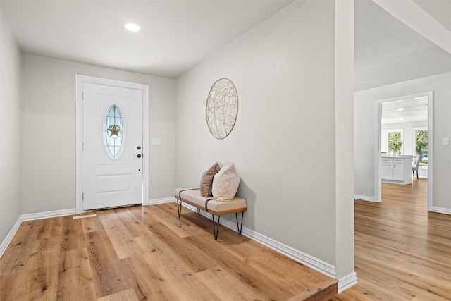 entrance foyer with light hardwood / wood-style flooring