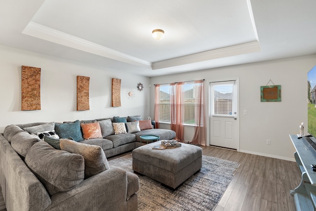 living room with a tray ceiling and hardwood / wood-style floors