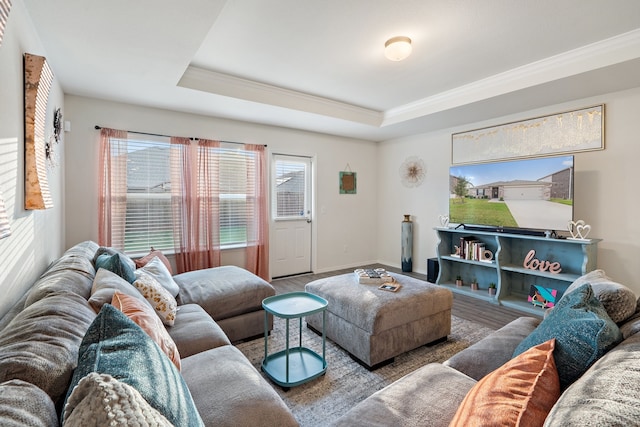 living room with wood-type flooring, a healthy amount of sunlight, a raised ceiling, and crown molding