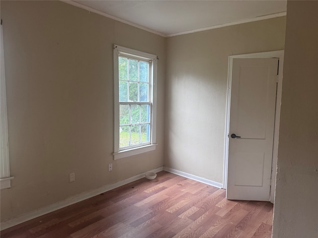 spare room featuring light wood-type flooring and crown molding