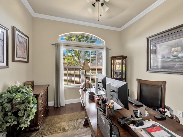 home office featuring crown molding, ceiling fan, and dark wood-type flooring