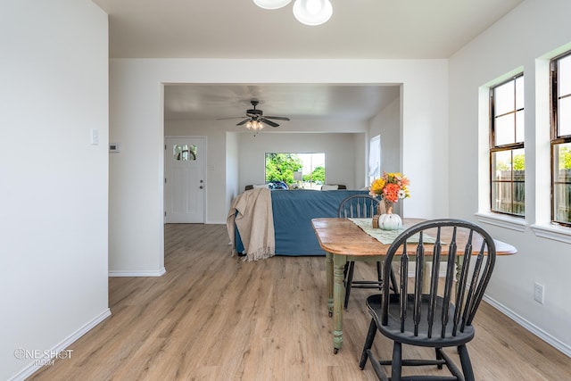 dining room featuring light hardwood / wood-style floors and ceiling fan