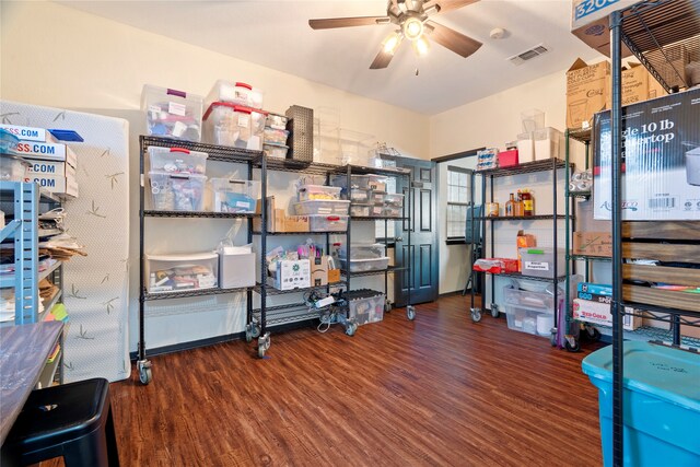 storage room featuring ceiling fan