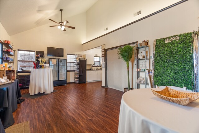 interior space with sink, high vaulted ceiling, and dark hardwood / wood-style floors