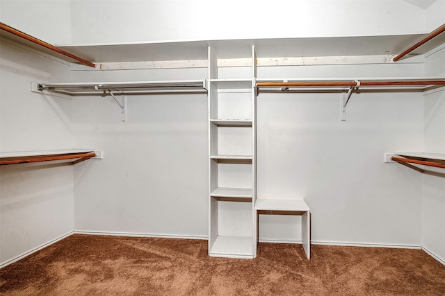 walk in closet with dark carpet