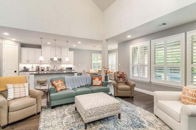 living room featuring sink, a towering ceiling, and hardwood / wood-style flooring