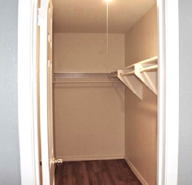 spacious closet featuring dark wood-type flooring