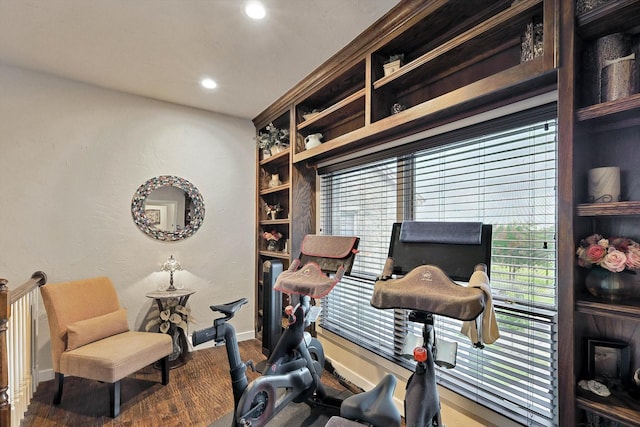 exercise room featuring hardwood / wood-style floors and built in features