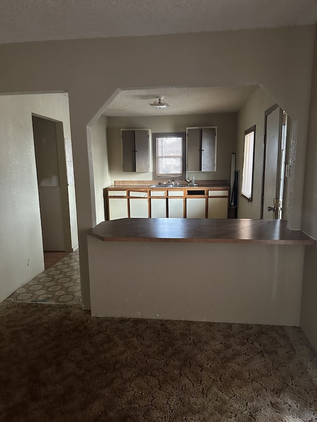 kitchen with kitchen peninsula, a textured ceiling, and carpet floors