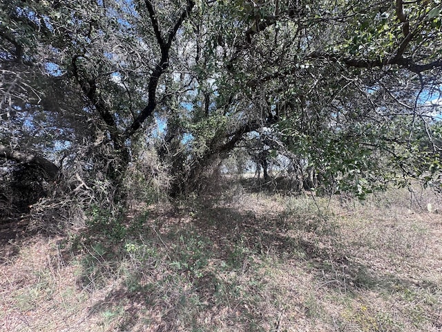 Listing photo 2 for TBD Highway 6, Cisco TX 76437