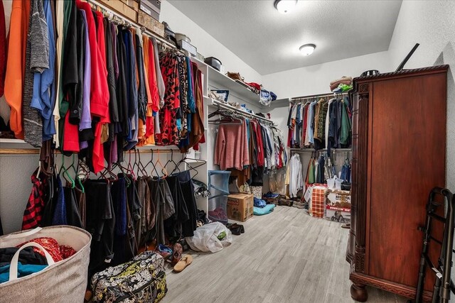 spacious closet with hardwood / wood-style floors