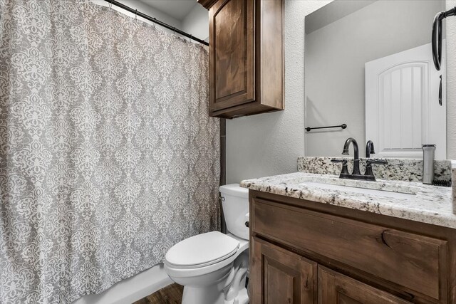 bathroom featuring vanity, toilet, and wood-type flooring