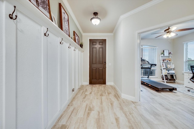 mudroom with crown molding, ceiling fan, and light hardwood / wood-style flooring