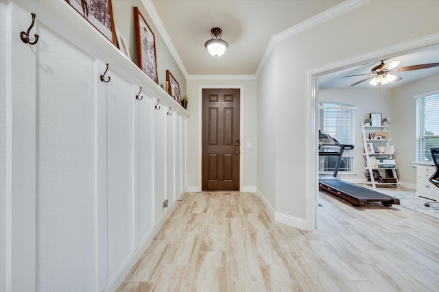 mudroom with ceiling fan, light wood-type flooring, and crown molding