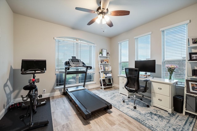 exercise room featuring ceiling fan and light hardwood / wood-style flooring