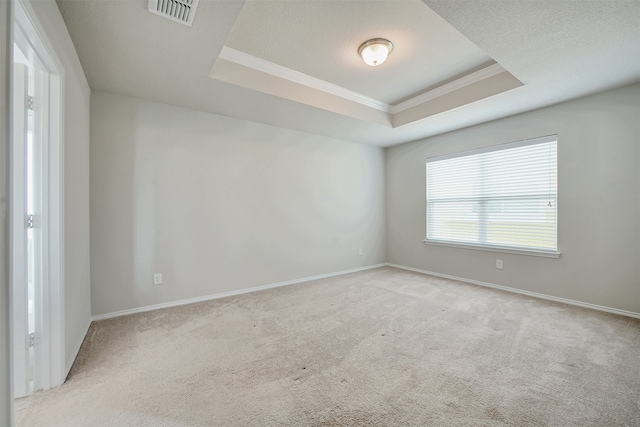 empty room featuring light carpet, crown molding, a raised ceiling, and a textured ceiling