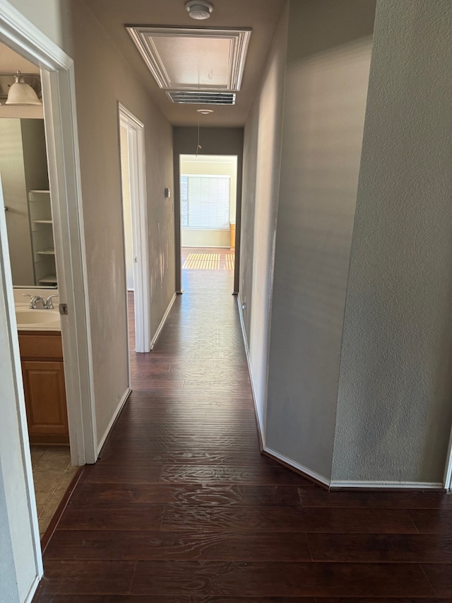 hall with dark hardwood / wood-style flooring and sink