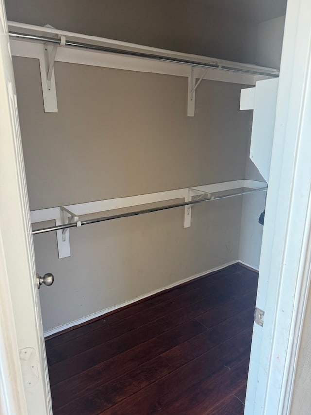 spacious closet featuring dark wood-type flooring