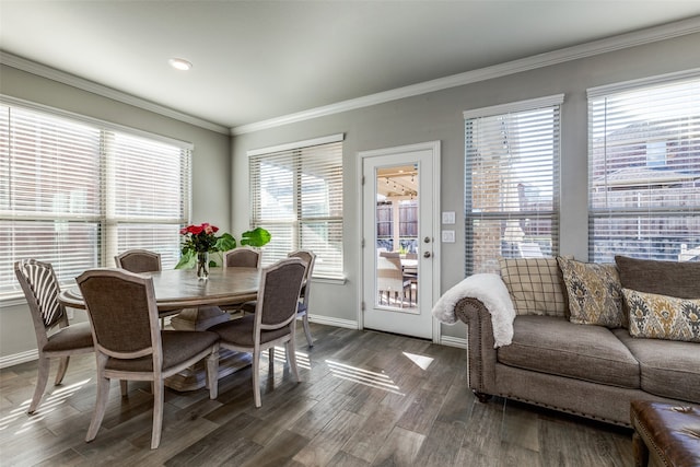 dining room with ornamental molding, a wealth of natural light, and dark hardwood / wood-style flooring