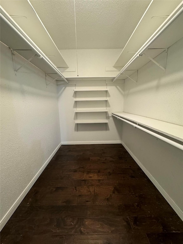 walk in closet with dark hardwood / wood-style flooring