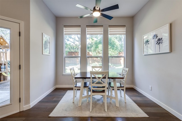 dining room featuring ceiling fan and dark wood-type flooring