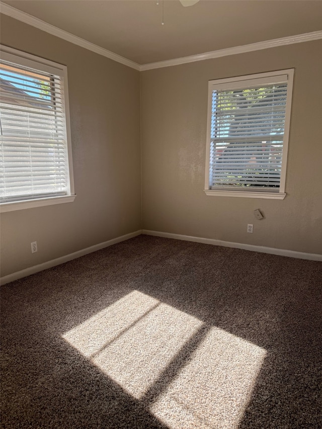 unfurnished room featuring crown molding, carpet floors, and ceiling fan