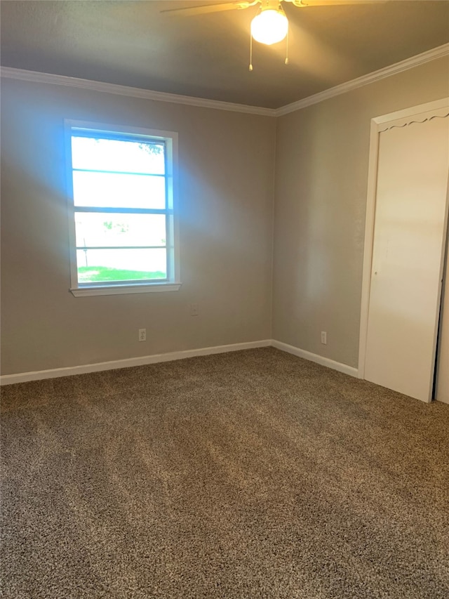 spare room featuring ceiling fan, carpet flooring, and crown molding