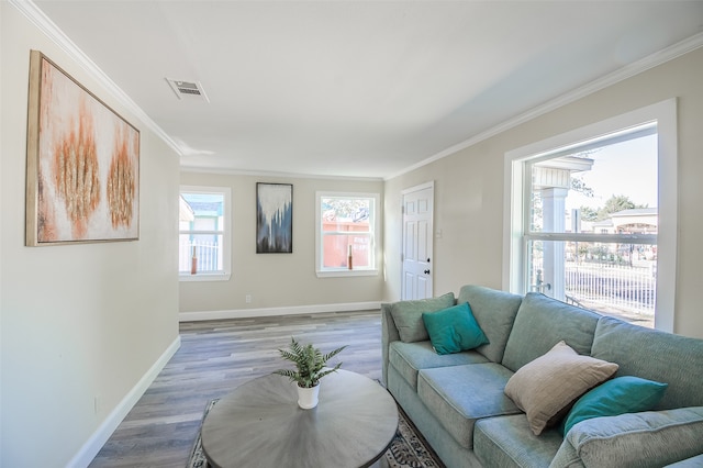 living room featuring ornamental molding and light hardwood / wood-style flooring