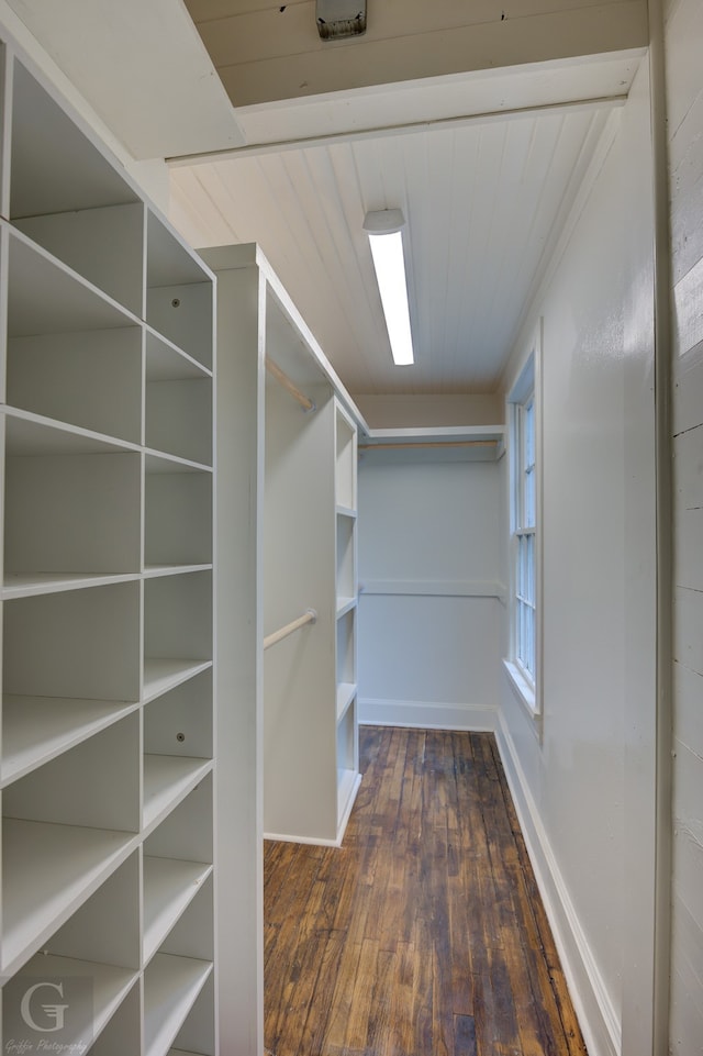 walk in closet featuring dark hardwood / wood-style floors