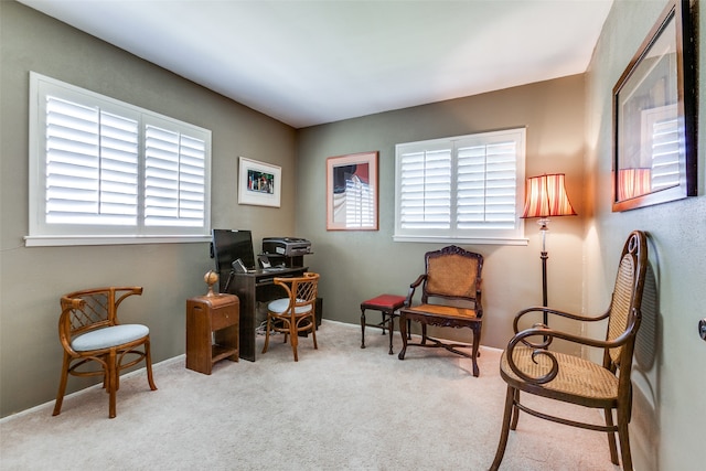 sitting room with a healthy amount of sunlight and light carpet