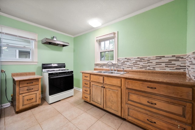 kitchen with sink, crown molding, ventilation hood, white gas stove, and backsplash