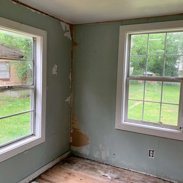 spare room featuring a healthy amount of sunlight and light hardwood / wood-style flooring