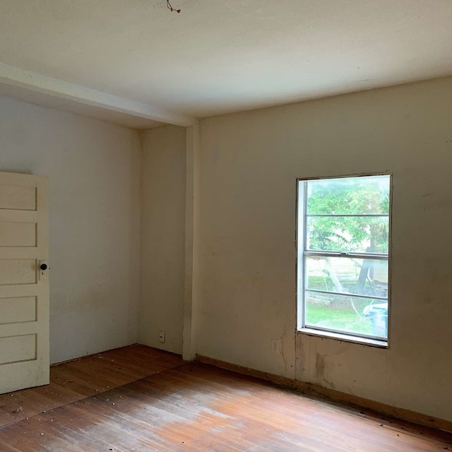 empty room with light hardwood / wood-style flooring