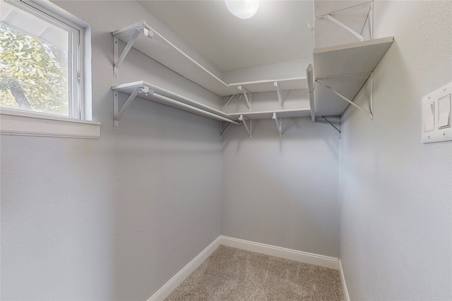 walk in closet with light colored carpet