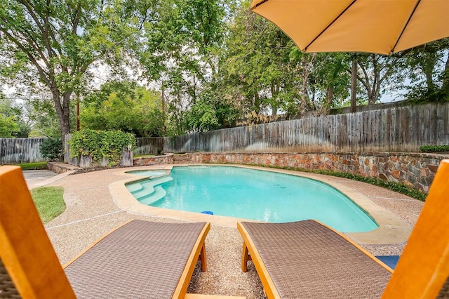 view of pool with a jacuzzi