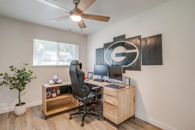 office space featuring ceiling fan and light wood-type flooring