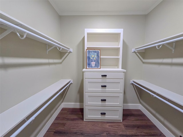 spacious closet with dark wood-style flooring