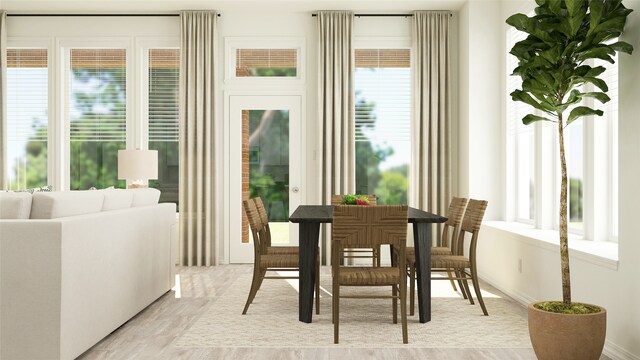 dining area with light hardwood / wood-style floors