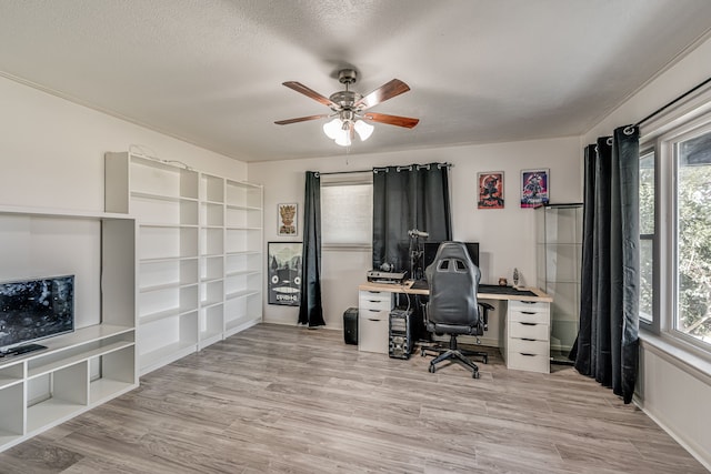 office space featuring light hardwood / wood-style floors, ceiling fan, a textured ceiling, and crown molding