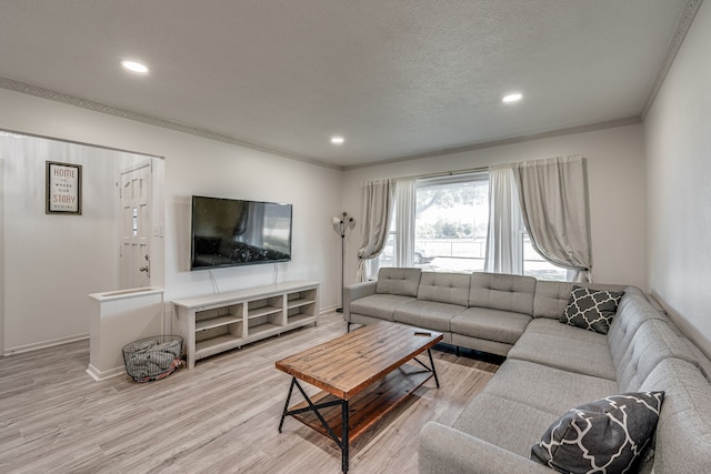 living room with hardwood / wood-style floors, a textured ceiling, and ornamental molding