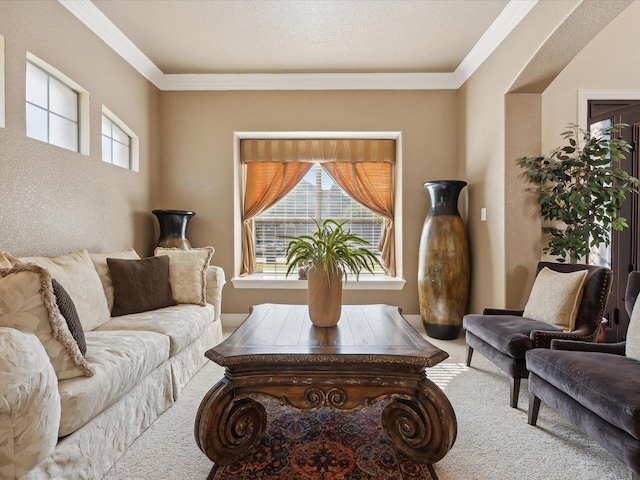 carpeted living room with crown molding and a textured ceiling