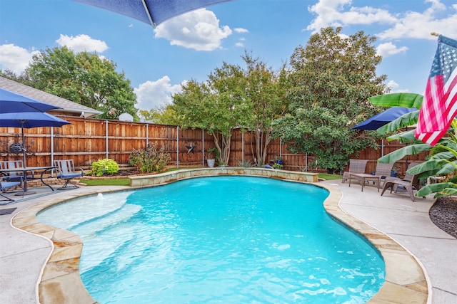 view of pool featuring a patio