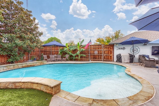 view of pool with a patio and pool water feature