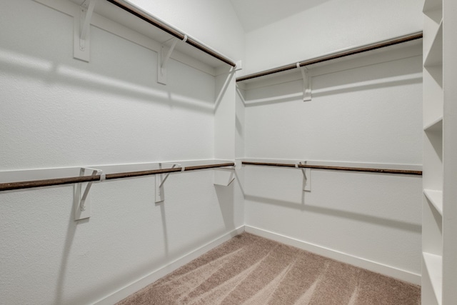 walk in closet with carpet