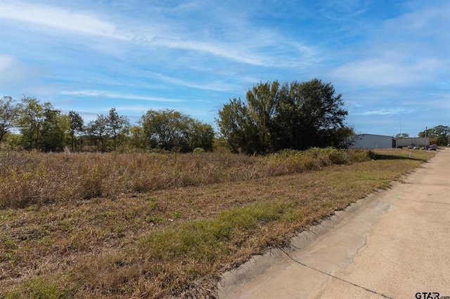 Listing photo 3 for 155 Industrial Blvd, Canton TX 75103