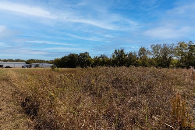 Listing photo 3 for 155 Industrial Blvd, Canton TX 75103