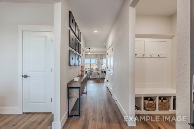 hall with dark hardwood / wood-style flooring