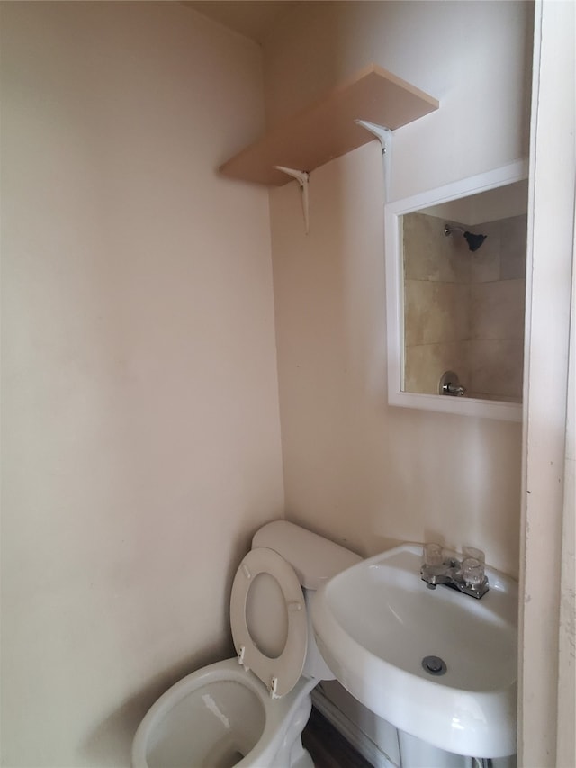 bathroom with sink and toilet