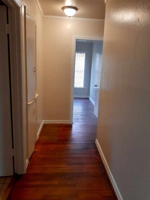 corridor with dark hardwood / wood-style flooring and ornamental molding